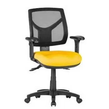 Avoca Low Back Task Chair