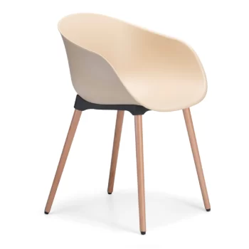 Ayla Chair With A Timber Base